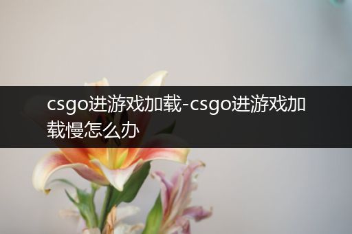 csgo进游戏加载-csgo进游戏加载慢怎么办