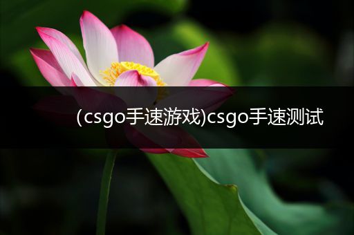 （csgo手速游戏)csgo手速测试