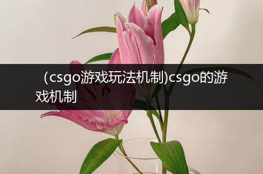 （csgo游戏玩法机制)csgo的游戏机制