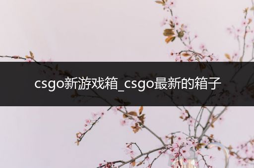 csgo新游戏箱_csgo最新的箱子