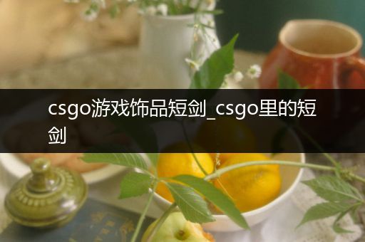 csgo游戏饰品短剑_csgo里的短剑