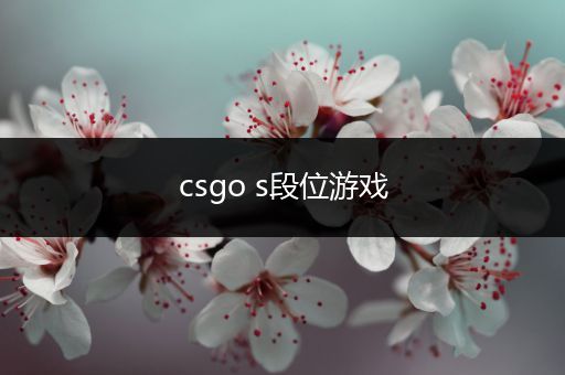 csgo s段位游戏