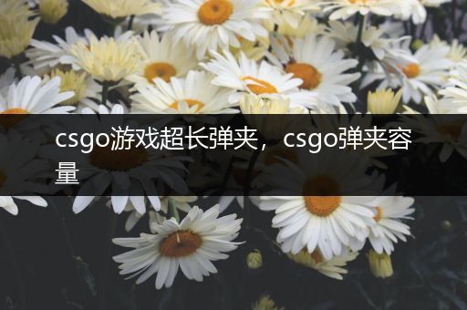 csgo游戏超长弹夹，csgo弹夹容量