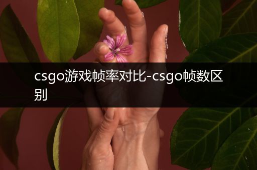 csgo游戏帧率对比-csgo帧数区别