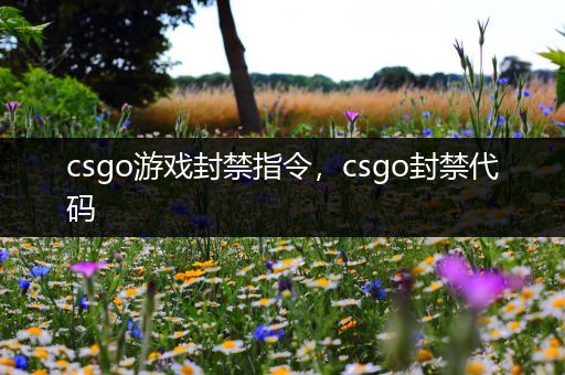 csgo游戏封禁指令，csgo封禁代码