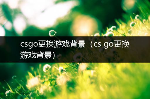 csgo更换游戏背景（cs go更换游戏背景）