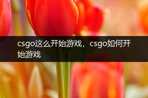 csgo这么开始游戏，csgo如何开始游戏