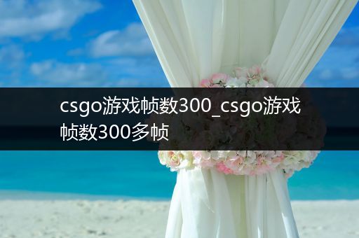 csgo游戏帧数300_csgo游戏帧数300多帧