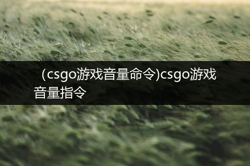 （csgo游戏音量命令)csgo游戏音量指令