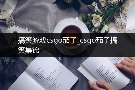 搞笑游戏csgo茄子_csgo茄子搞笑集锦