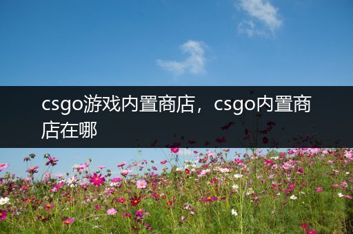 csgo游戏内置商店，csgo内置商店在哪
