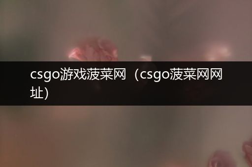 csgo游戏菠菜网（csgo菠菜网网址）