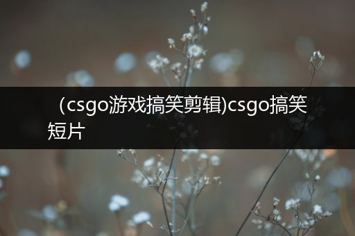 （csgo游戏搞笑剪辑)csgo搞笑短片