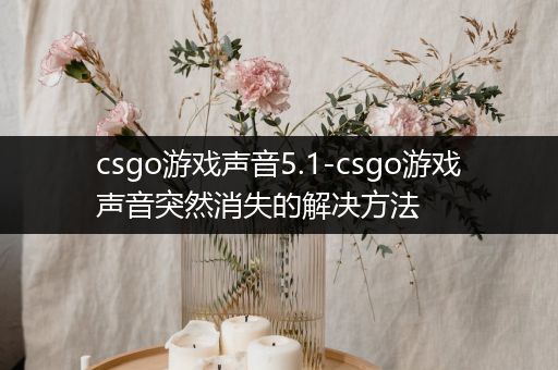 csgo游戏声音5.1-csgo游戏声音突然消失的解决方法