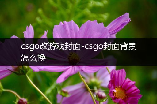 csgo改游戏封面-csgo封面背景怎么换