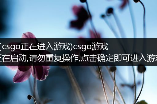 （csgo正在进入游戏)csgo游戏正在启动,请勿重复操作,点击确定即可进入游戏