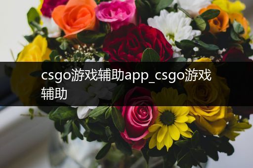 csgo游戏辅助app_csgo游戏辅助