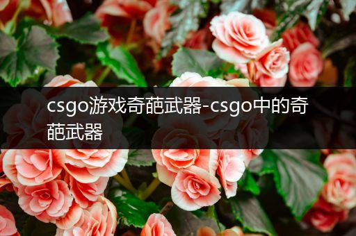 csgo游戏奇葩武器-csgo中的奇葩武器