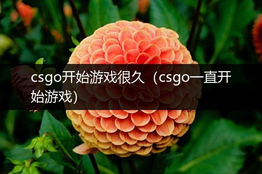 csgo开始游戏很久（csgo一直开始游戏）