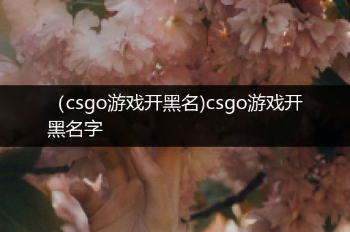 （csgo游戏开黑名)csgo游戏开黑名字