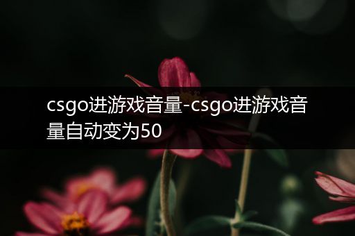 csgo进游戏音量-csgo进游戏音量自动变为50