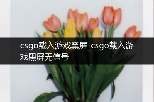 csgo载入游戏黑屏_csgo载入游戏黑屏无信号