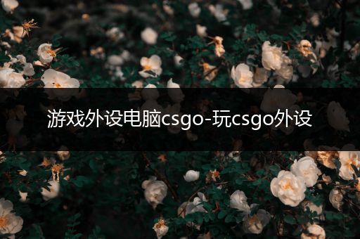 游戏外设电脑csgo-玩csgo外设