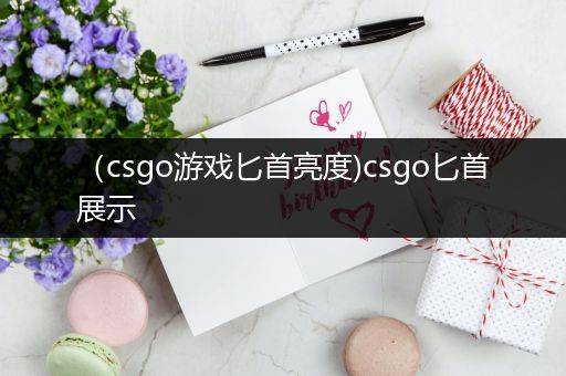 （csgo游戏匕首亮度)csgo匕首展示