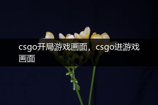 csgo开局游戏画面，csgo进游戏画面