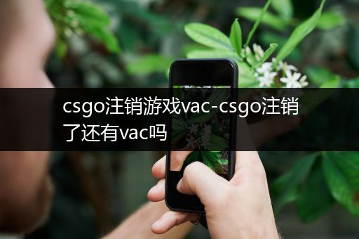 csgo注销游戏vac-csgo注销了还有vac吗