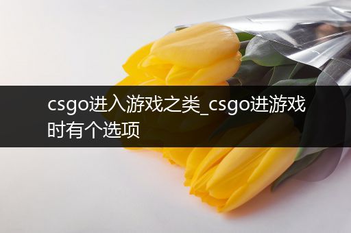 csgo进入游戏之类_csgo进游戏时有个选项