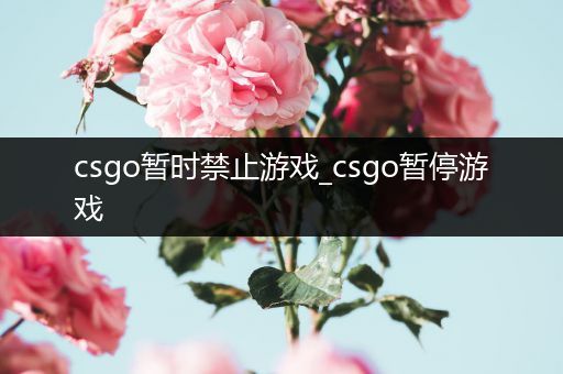 csgo暂时禁止游戏_csgo暂停游戏