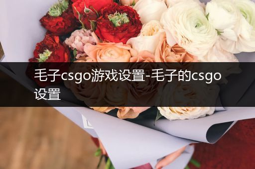 毛子csgo游戏设置-毛子的csgo设置