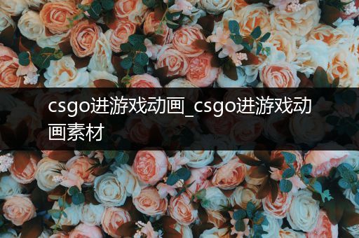 csgo进游戏动画_csgo进游戏动画素材