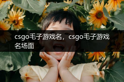 csgo毛子游戏名，csgo毛子游戏名场面