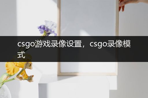 csgo游戏录像设置，csgo录像模式