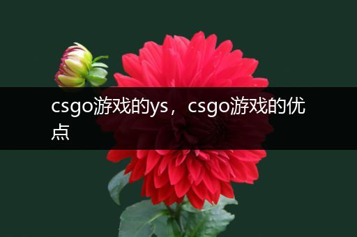 csgo游戏的ys，csgo游戏的优点