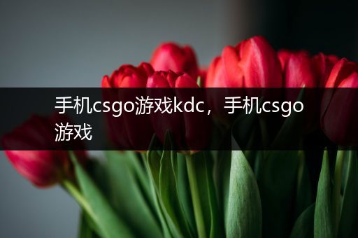 手机csgo游戏kdc，手机csgo游戏