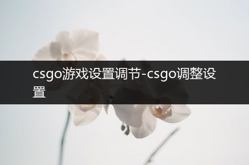 csgo游戏设置调节-csgo调整设置