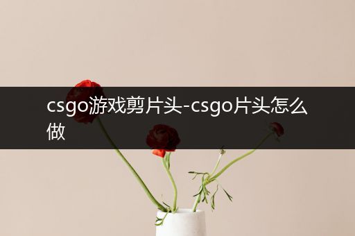 csgo游戏剪片头-csgo片头怎么做