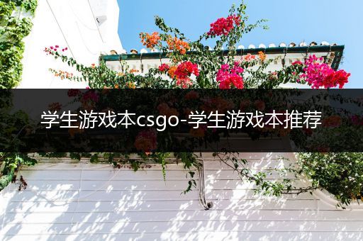 学生游戏本csgo-学生游戏本推荐