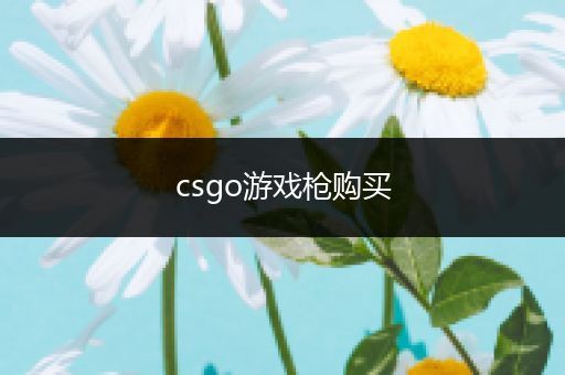 csgo游戏枪购买