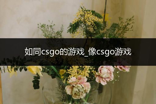 如同csgo的游戏_像csgo游戏
