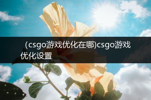 （csgo游戏优化在哪)csgo游戏优化设置