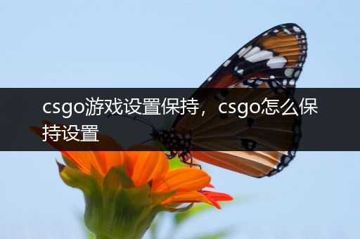 csgo游戏设置保持，csgo怎么保持设置