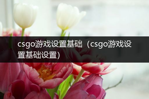 csgo游戏设置基础（csgo游戏设置基础设置）