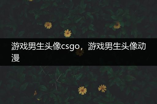 游戏男生头像csgo，游戏男生头像动漫