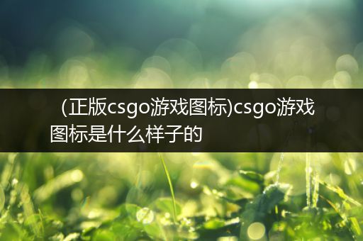 （正版csgo游戏图标)csgo游戏图标是什么样子的