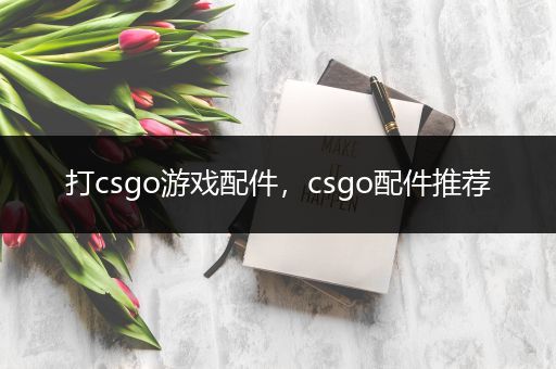 打csgo游戏配件，csgo配件推荐