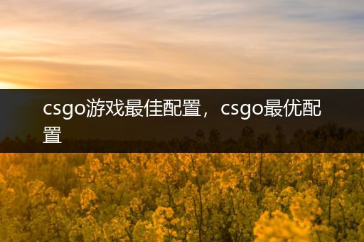 csgo游戏最佳配置，csgo最优配置